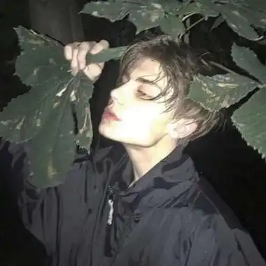 6686体育官网首席作者Vega