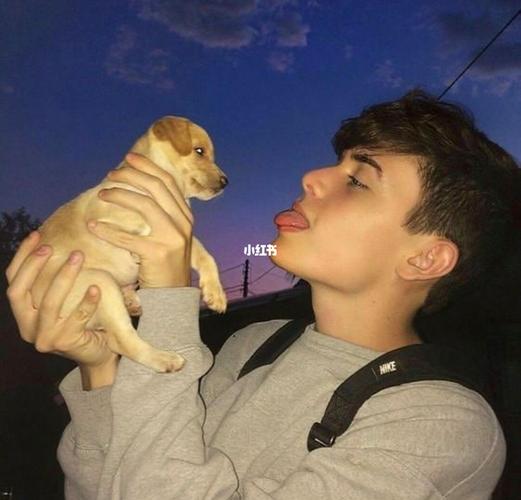 6686体育官网海外作者仅存姿态