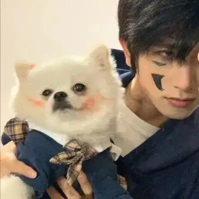 6686体育官网首席作者凭栏听雨