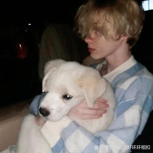 6686体育官网初级作者Blythe