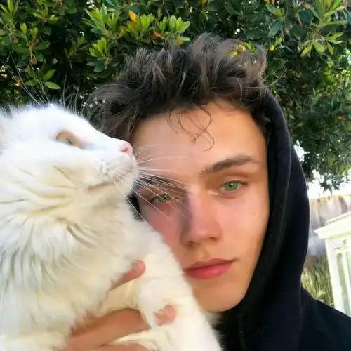 6686体育官网首席作者Calvin