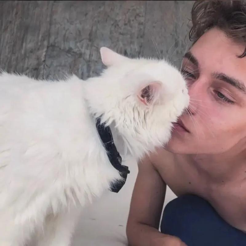 6686体育官网官方作者回首彼岸