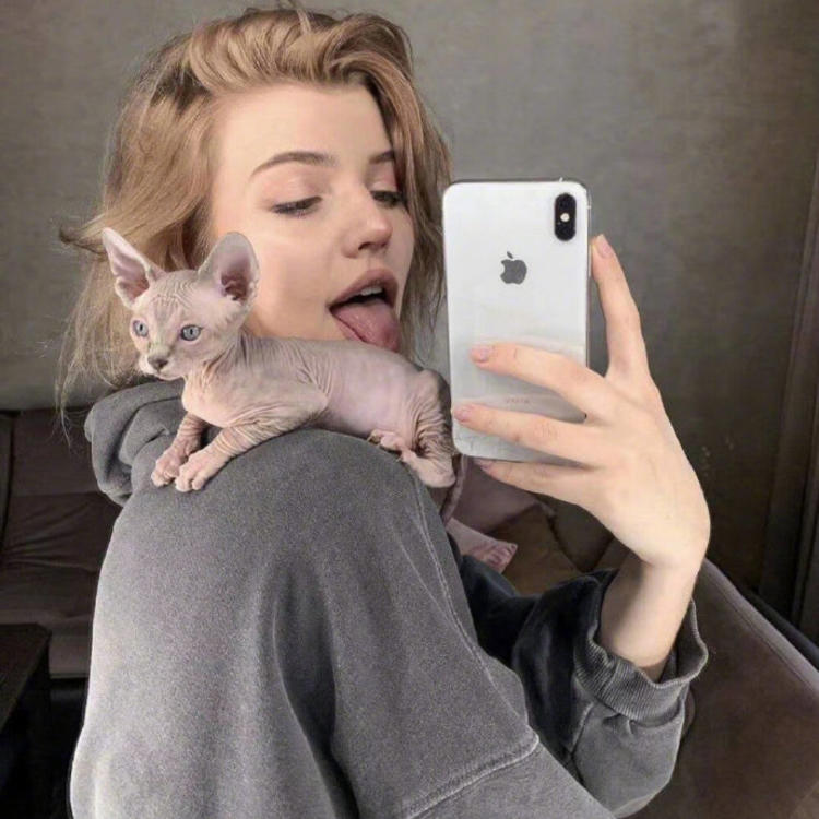 6686体育官网铁牌作者Tessa