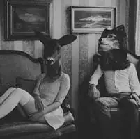 6686体育官网高级作者Jagger