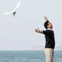 6686体育官网中级作者Isla