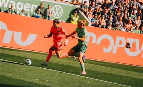 沃尔夫斯堡 vs 法兰克福